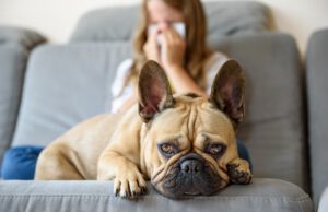 Znajdź idealnego pupila: zwierzęta przyjazne alergikom zwierzęta przyjazne alergikom