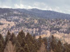 Miejsca mocy w Polsce – gdzie znajdują się pradawne ślady historii? miejsca mocy w Polsce