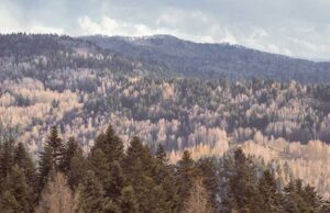 Miejsca mocy w Polsce – gdzie znajdują się pradawne ślady historii? miejsca mocy w Polsce