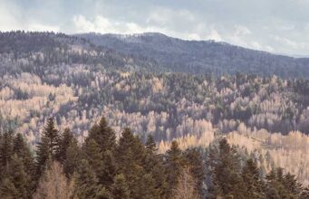 Miejsca mocy w Polsce – gdzie znajdują się pradawne ślady historii? miejsca mocy w Polsce